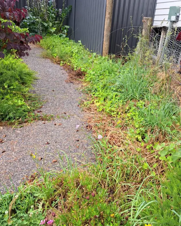 path before clean up